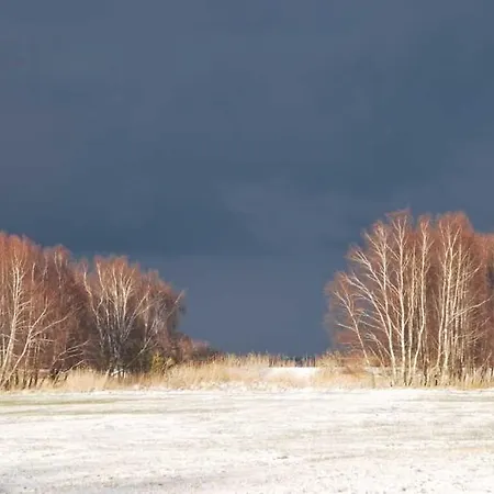 Historisches Reetdachhaus Mit Bauwagen Und Grossem Obstgarten בית נופש *