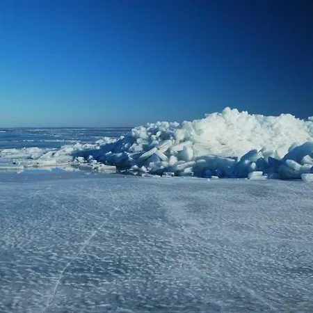 בית נופש Historisches Reetdachhaus Mit Bauwagen Und Grossem Obstgarten