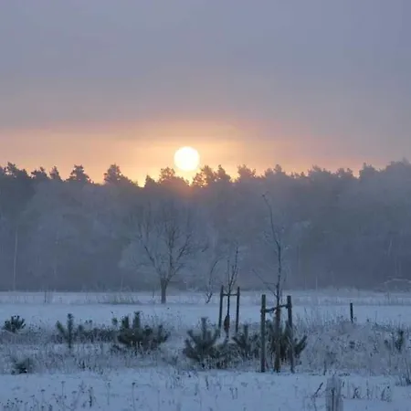 בית נופש Historisches Reetdachhaus Mit Bauwagen Und Grossem Obstgarten *