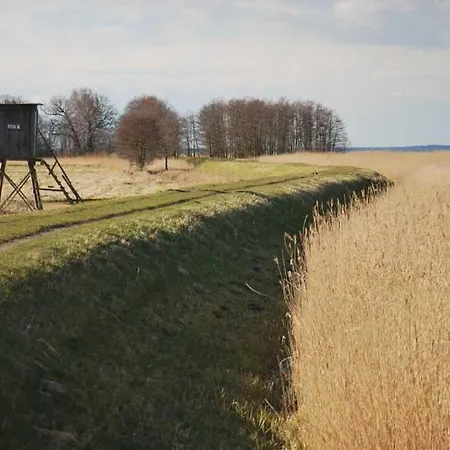 Historisches Reetdachhaus Mit Bauwagen Und Grossem Obstgarten *