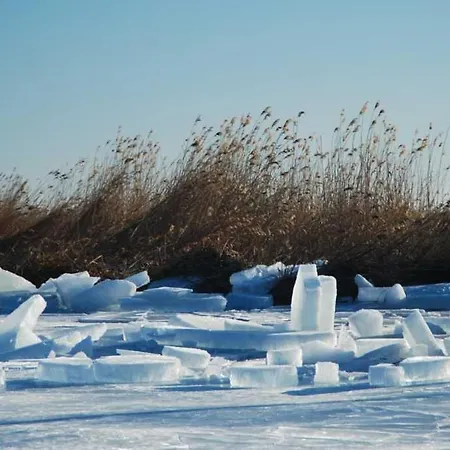 Historisches Reetdachhaus Mit Bauwagen Und Grossem Obstgarten בית נופש