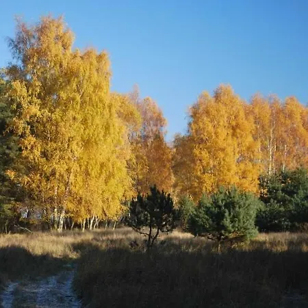 בית נופש Historisches Reetdachhaus Mit Bauwagen Und Grossem Obstgarten *