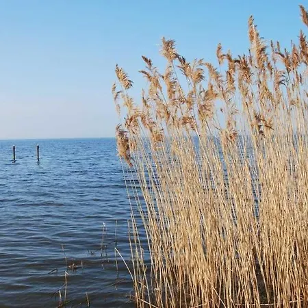Historisches Reetdachhaus Mit Bauwagen Und Grossem Obstgarten