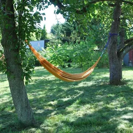 Historisches Reetdachhaus Mit Bauwagen Und Grossem Obstgarten בית נופש *