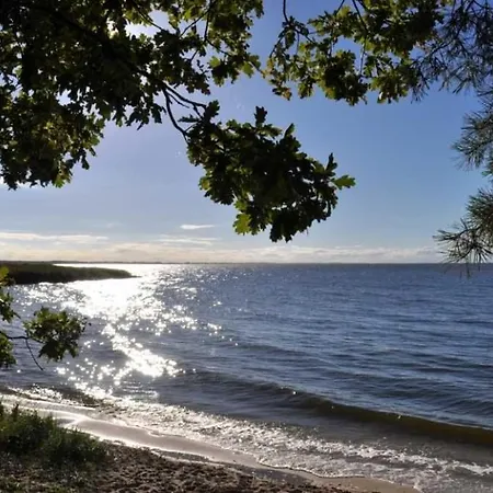 Historisches Reetdachhaus Mit Bauwagen Und Grossem Obstgarten