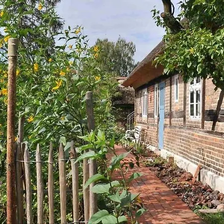 Historisches Reetdachhaus Mit Bauwagen Und Grossem Obstgarten
